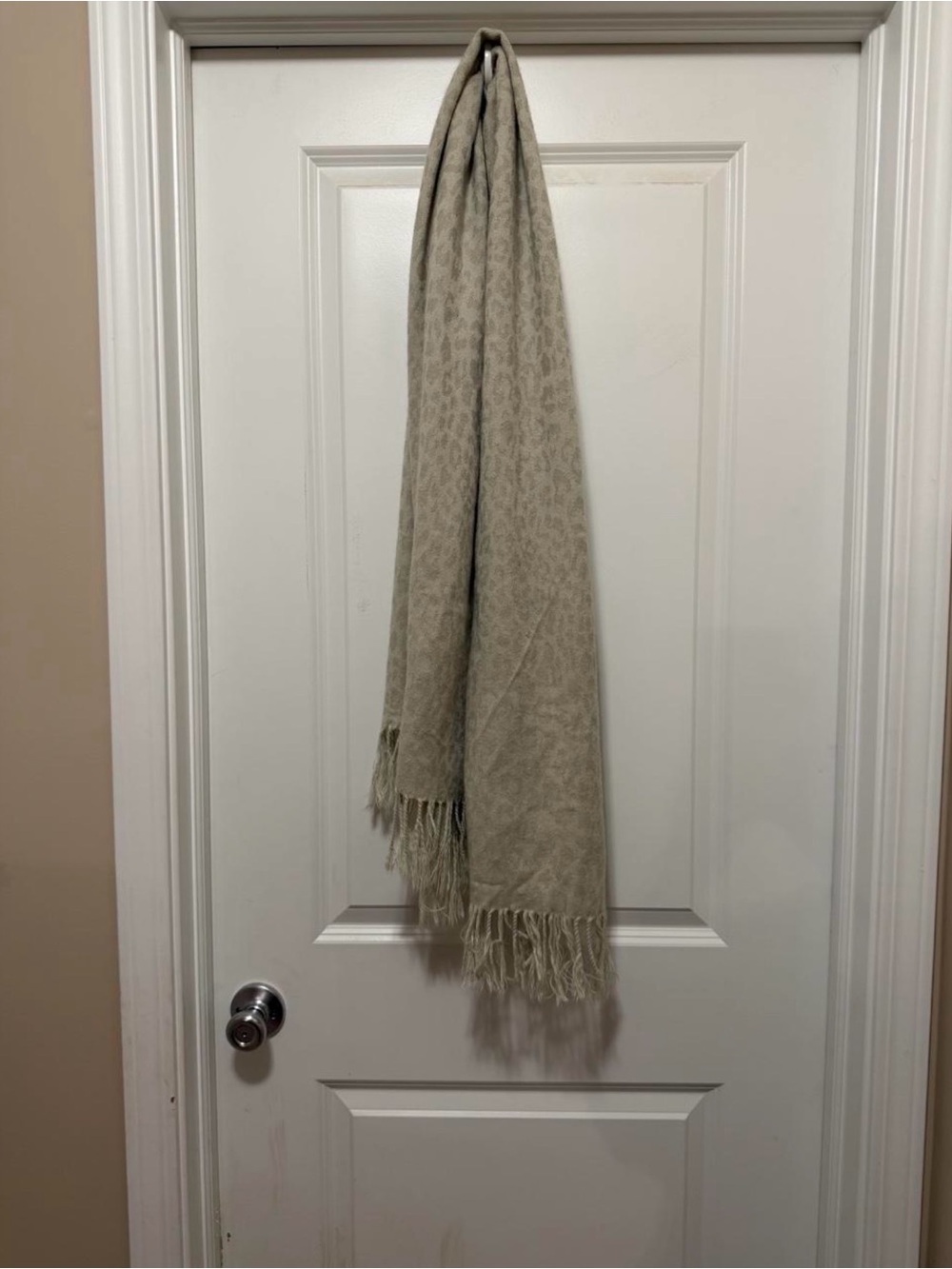 Soft Fringe Throw Blanket in Beige